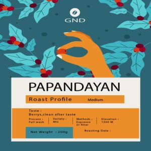 papandayan filter or espresso